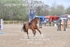 BPP_0882