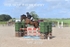BPP_8288