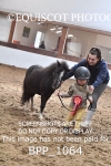 BPP_1064