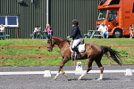 SIAL0362