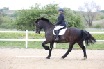 SBM_007149