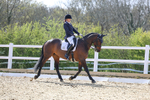 Class 10: Advanced Medium 6 2024 portfolio