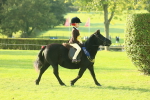 SBM_59281