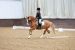 SBM_002185