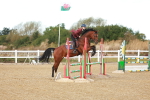 SBM_000638