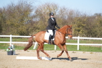 SBM_003375