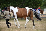 WJ6_8158