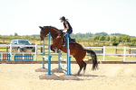 SBM_005951