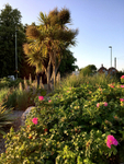 Graham Wiffen - Pennington Lane roundabout - IMG_0181