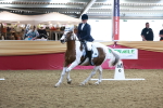SBM_09179