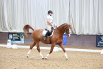 SBM_001556