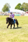 Shetland Grand National portfolio