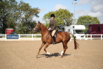 Class 603 - 2026 - Ridden Pre Vet portfolio