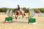SBM_002533