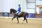 SBM_005931