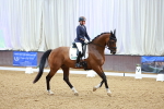 SBM_004337