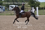 BPP_4365