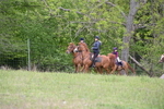 WJ6_2009