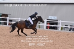 BPP_4067