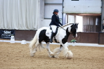 SBM_003141