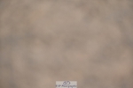 230811-150224-02207
