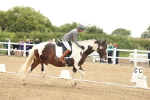 SBM_007144