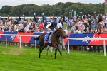 210825-Race 1-Royal Fixation-3596