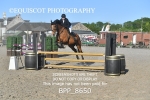BPP_8650