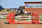 Cls 17+18 Children on Horses portfolio