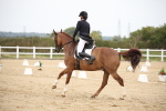 SBM_020225