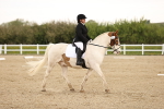 SBM_006526