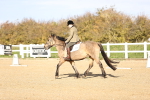 SBM_000932