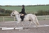 BPP_7857