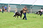 SBM_03386