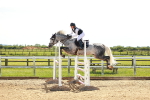 SBM_002538