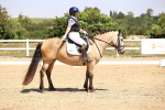 SBM_004099