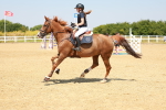 SBM_000977