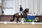 Class 1 - Prelim 6 Gold - 11.24-12.40 portfolio
