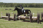 BVHT 140517  IXC -823
