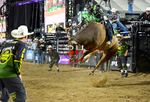 3HRodeo_PBR_TEAMS_JUL_2026_1078