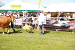 SBM_08324