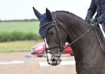 BPP_0495