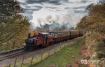 Ffestiniog Train, Coed Maentwrog