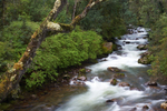 Rio Ventisquero