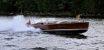 Whippet23-3280