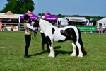 SBM_10107
