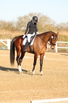SBM_004669