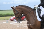 BPP_0706