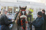 281224-Race 1-Not Staying Long-1289