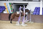 SBM_000967